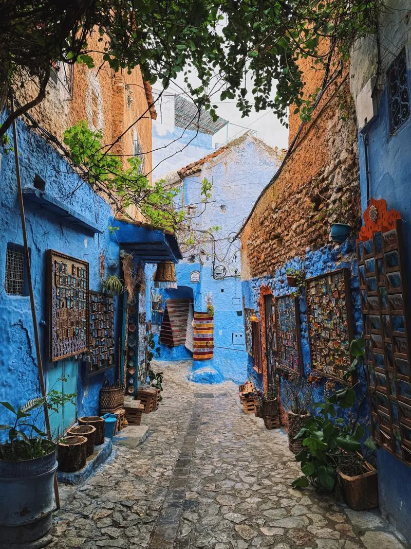 Ruelle bleue pavée d'une médina marocaine, avec des tapis colorés et des plantes suspendus aux murs